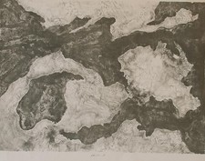 Wieland Förster Schwarze Wasser Flugbilder signiert Offsetlithografie 1970 Probe