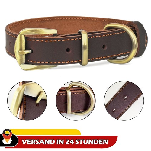 Hundehalsband leder hunde - hundehalsband,