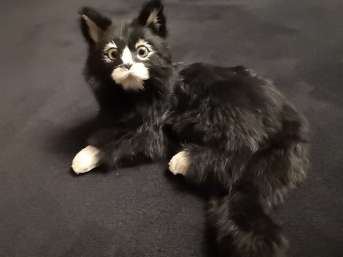 Katze deko figur echt fell - katze, fell 