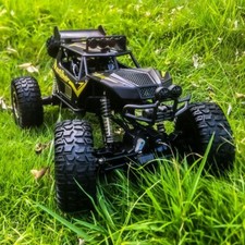 Allrad rock crawler - crawler, panther