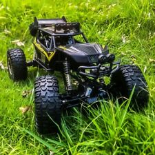RC Allrad Rock Crawler PANTHER