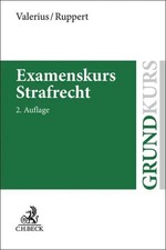 Examenskurs Strafrecht | Allgemeiner Teil, Besonderer Teil, Strafprozessrecht