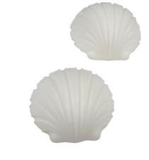 2x Limburg 2808 Muschel Opal