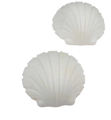 Limburg 2808 muschel opal - 2x,