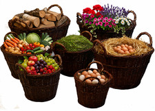 7Größe Gartenkorb