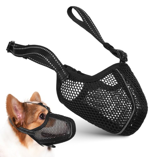 Anti kauen für hundetraining - für,