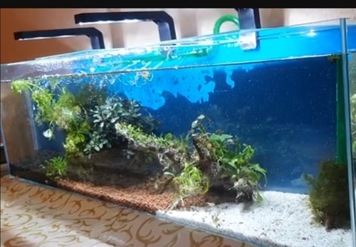 Stück aquarium led lampe - 1,