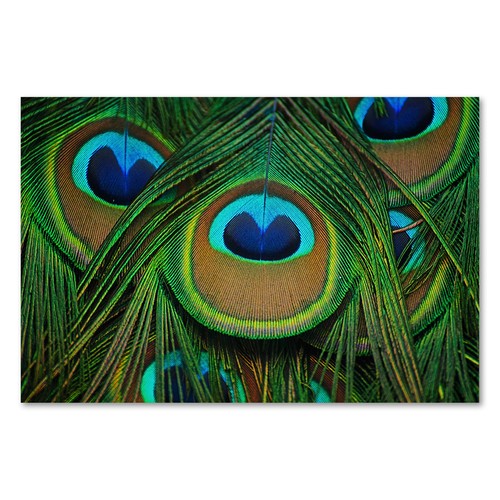 Postereck 2799 poster - postereck,