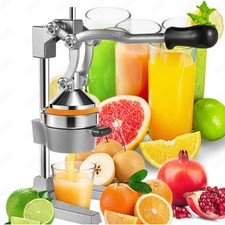 Professionelle Saftpresse