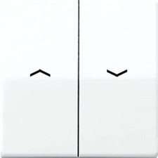 Jung Wippschalter AS591-5PWW