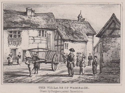 Schlangenbad wambach original - schlangenbad,
