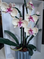 LEGO Botanicals Icons Orchidee 10311 Pflanze Dekoration Blume