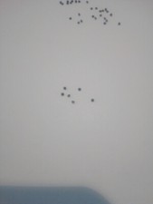 6 einzelne dunkelblaue runde Saphire ca 0,9 mm Afrika round diamond cut