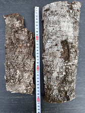 Birkenrinde 2 St.  Baumrinde Frühlingsdeko Dekoration Osterdeko Tischedeko (5)