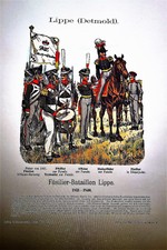 Militaria - Uniformen