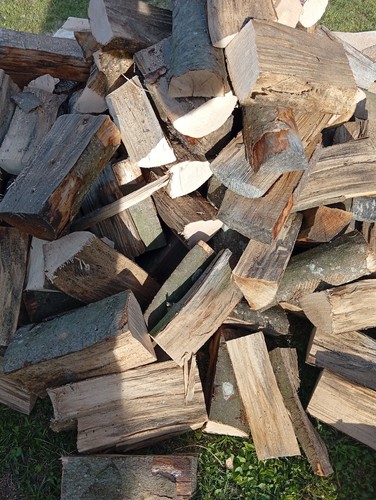 Brennholz gemischt hart und - brennholz,