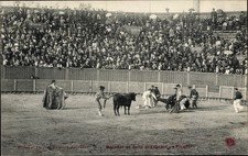 Ak Stierkampfarena, Toreros