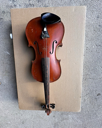 Akustische violine saitig - akustische,