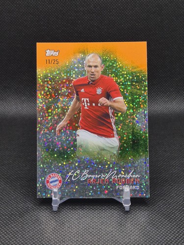 Arjen robben pitch - arjen, /25