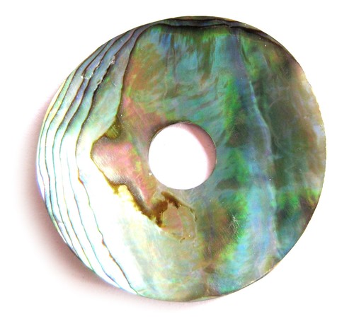 Donut paua muschel gewölbt - muschel,
