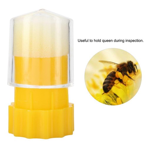 Bienenkönigin marker queen - bienenkönigin,