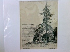Josef Windisch, Blick ins Tal, eine Tanne am Hang gibt den Blick ins Tal frei,