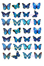 Schmetterlinge Muffin