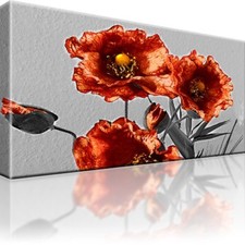 Mohnblume Bild Bilder Leinwand Keilrahmen Wandbild Kunstdruck