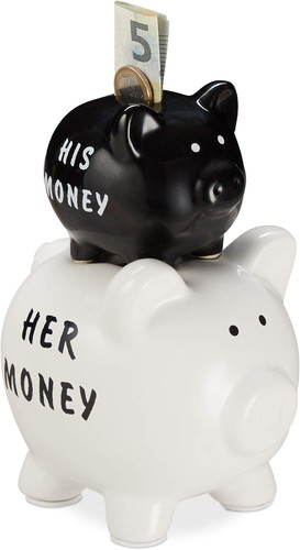 Sparschwein his her money - sparschwein,,