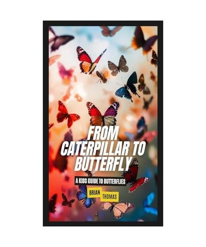 From caterpillar butterfly - from,