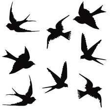 8x Aufkleber Vogel, Schwalbe