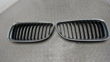 Kühlergrill / Nierenpaar BMW