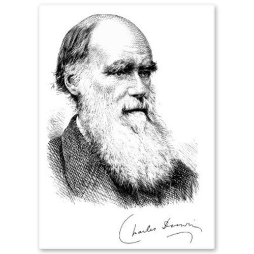 Charles darwin evolution - charles,