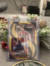 Panini Select PL Chris Wood