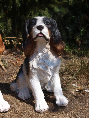 King charles spaniel - king,