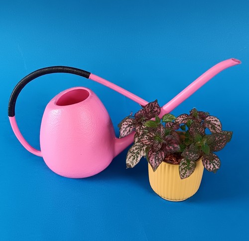 Gießkanne plastik - plastik, 1l