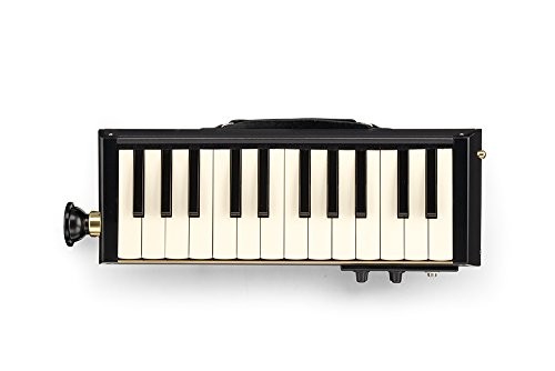 Suzuki hammond pro - suzuki, bass