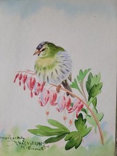 Aquarell Gemälde Kopie nach Karl Schicktanz Vogel  Zeisig 20x15,5cm mit Rahmen