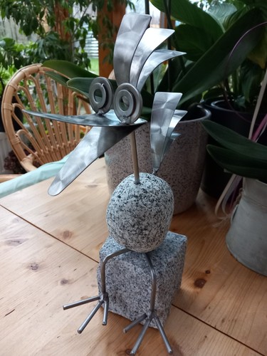 Stolzer steinvogel aus - stolzer,