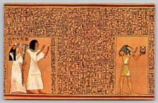 Postcard: Egypt, Mayer's