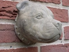 Bullterrier wand steinfigur - bullterrier,