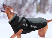 Hundemantel  Geschirr abnehmbar  50 -52 cm Rücken ❤️ 3XL Wintermantel NEU❤️