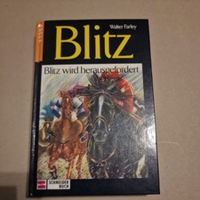 Blitz, Bd.2, Blitz wird