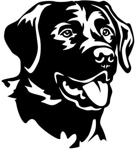 Labrador aufkleber - labrador,