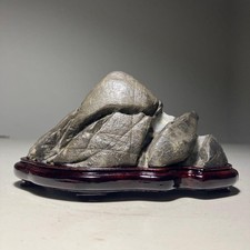 Suiseki Bonseki Bonsai