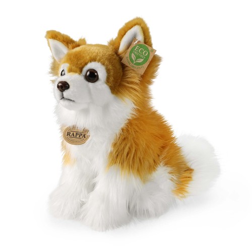 Chihuahua cm hund - chihuahua,