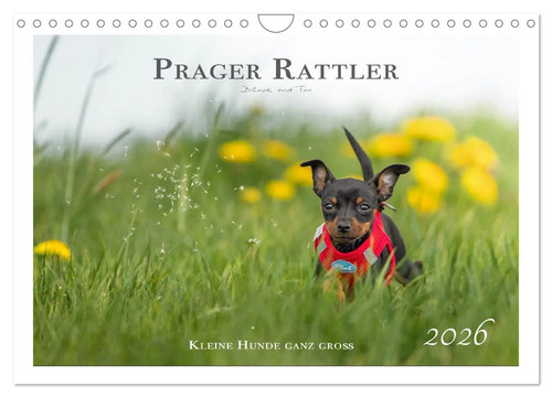 Prager rattler black and tan - rattler,