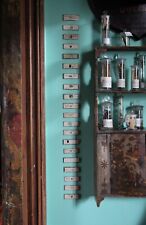 Taxidermy Natural History Collection of 20 19th C Microscope Specimen Slides