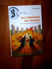 Das Geheimnis des Druiden: Ein