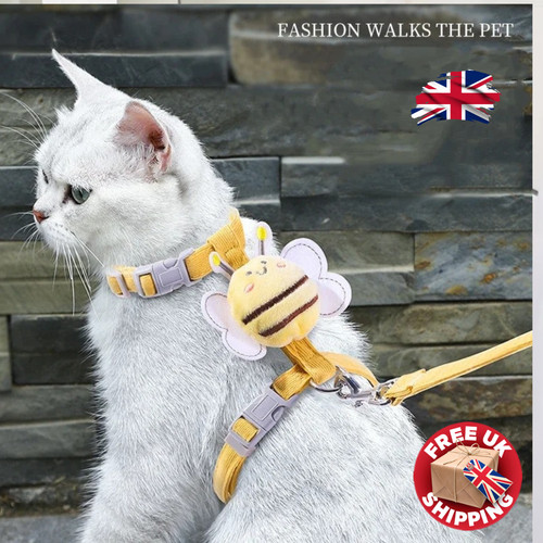 Katze kleine hunde - katze, &
